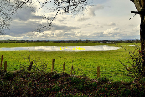 Photo 6"x4" Pond in field, Bracky Milltown\/H5775 c2020
