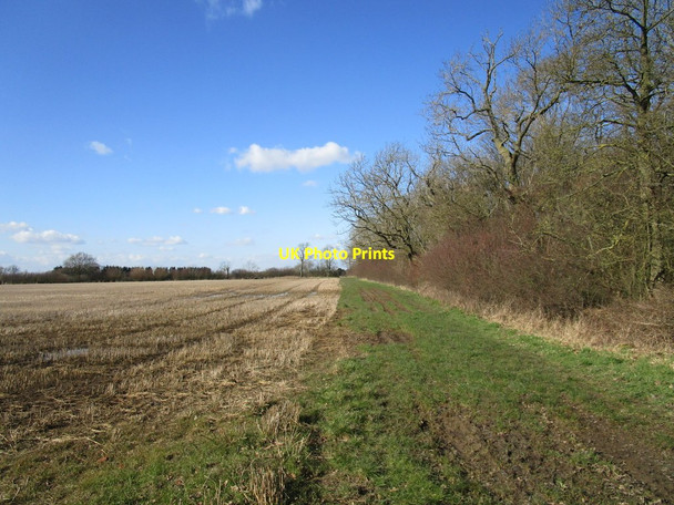 Photo 6"x4" Bridleway alongside Kinoulton Gorse Kinoulton c2020