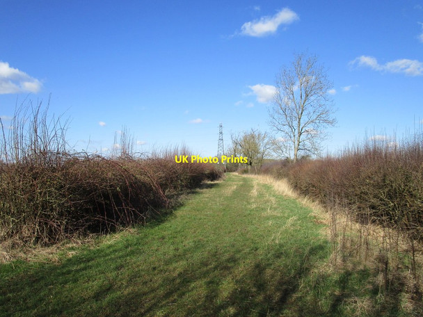 Photo 6"x4" Bridleway to Owthorpe Lodge Kinoulton c2020