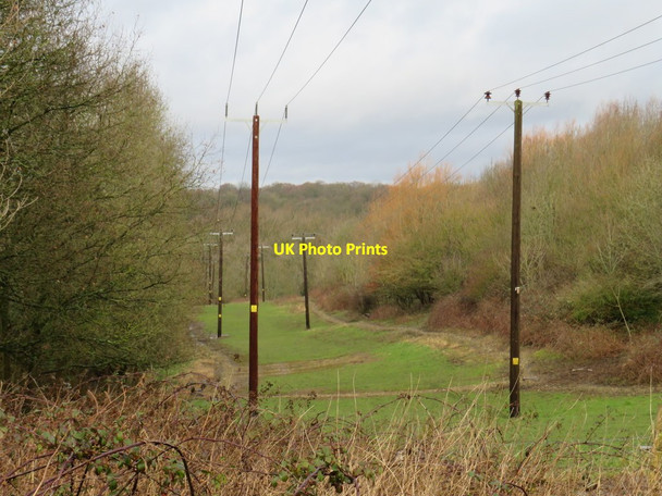 Photo 6"x4" Poles and cables near High Brooms High Brooms c2020