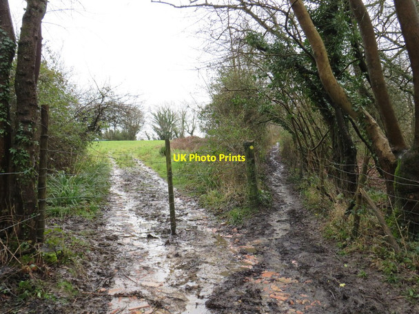 Photo 6"x4" Footpath and track near Southborough High Brooms c2020