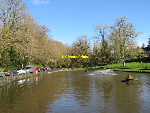 Photo 6"x4" Pond at Holden Corner, Southborough Modest Corner c2020