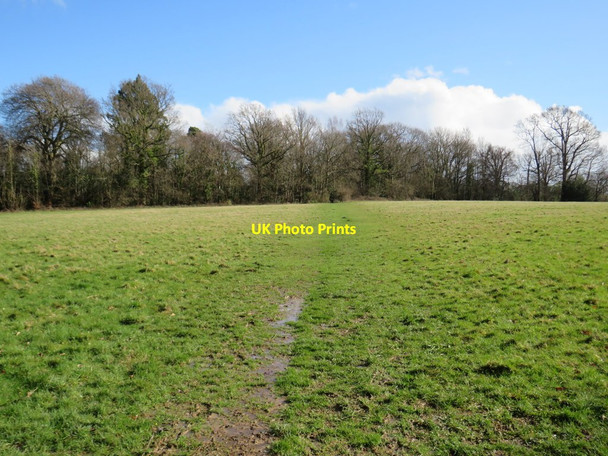 Photo 6"x4" Footpath across a field near Southborough Royal Tunbridge Wells c2020