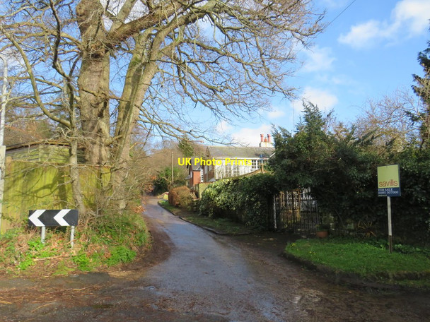 Photo 6"x4" Cabbage Stalk Lane, Tunbridge Wells Royal Tunbridge Wells c2020