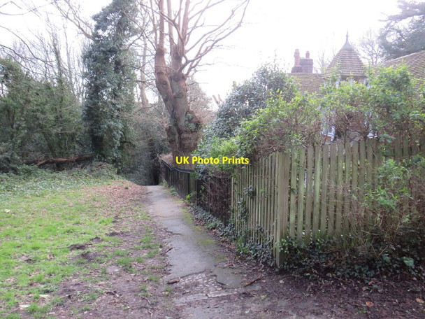 Photo 6"x4" Path on Tunbridge Wells Common Royal Tunbridge Wells c2020