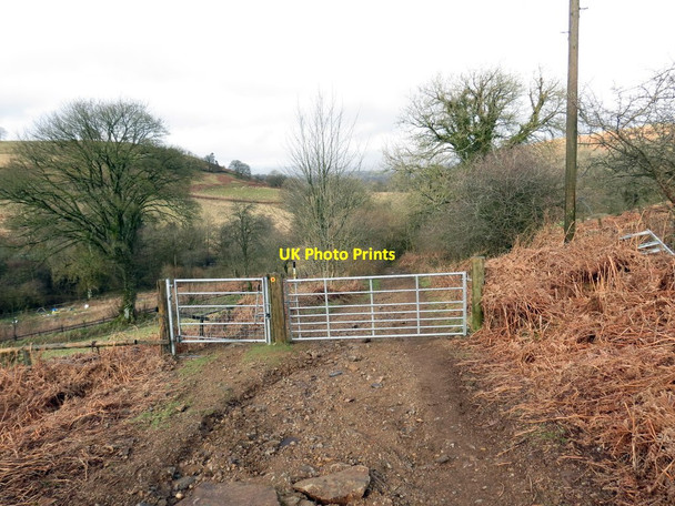 Photo 6"x4" Cilffordd ger Bank House \/ Byway near Bank House Llandrindod Wells\/Llandrindod c2020