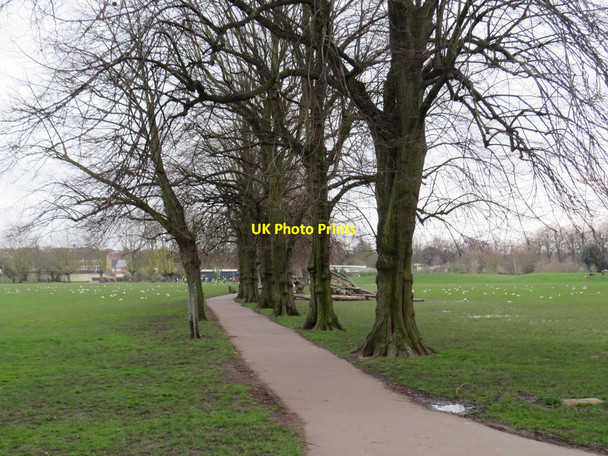 Photo 6"x4" Lloyd Park, Walthamstow Walthamstow c2020