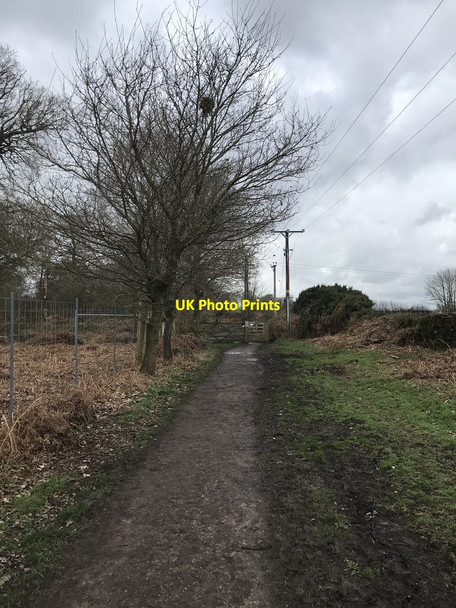 Photo 6"x4" Bridleway in Calke Park Ticknall c2020