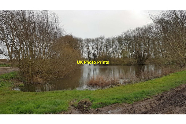 Photo 6"x4" Great Holland: Pond at Great Holland Hall Frinton-On-Sea c2020