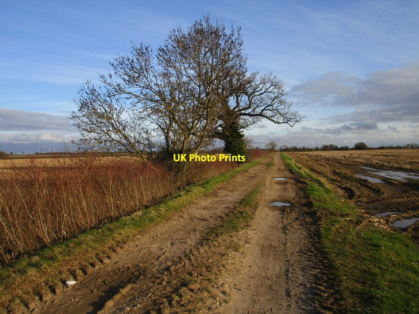 Photo 6"x4" Bridleway off Moor Lane, Metheringham Metheringham c2020