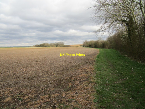 Photo 6"x4" Restricted Byway, Metheringham Barff Wasps Nest c2020