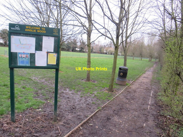 Photo 6"x4" Ainslie Wood, near Chingford Chingford c2020