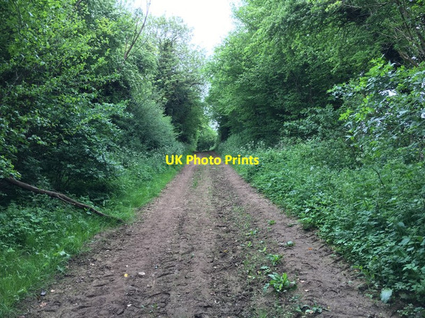 Photo 6"x4" Restricted Byway Chipping Norton c2018