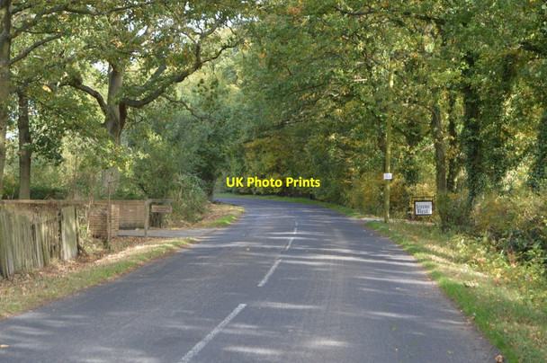 Photo 6"x4" Old Surrenden Manor Rd Brissenden Green c2018 P1