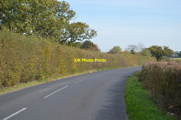 Photo 6"x4" Old Surrenden Manor Rd Brissenden Green c2018 P2