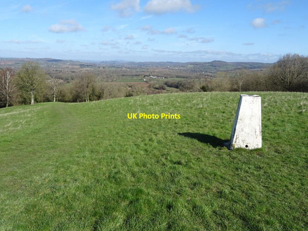 Photo 6"x4" Trig point on Oyster Hill Coddington\/SO7142 c2020