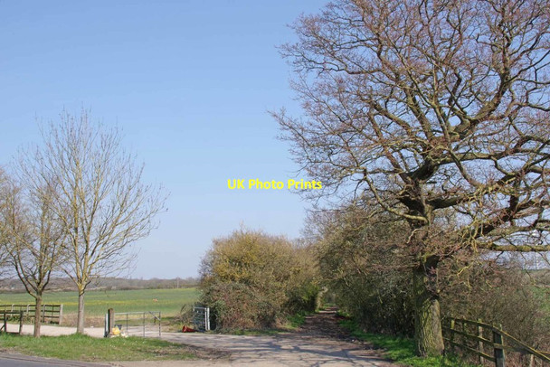 Photo 6"x4" Nightingale Lane (Byway 313_67) East Horndon c2020
