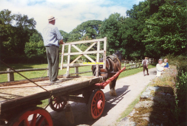 Photo 6"x4" Acton Scott Historic Working Farm Acton Scott c2001 P1