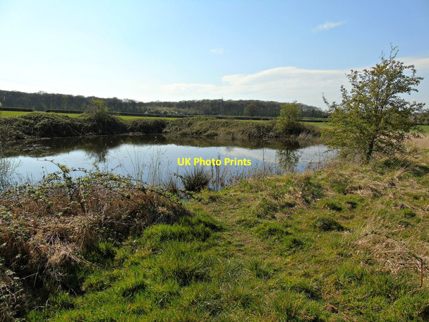 Photo 6"x4" Pond by Centenary Way Guy's Cliffe c2020