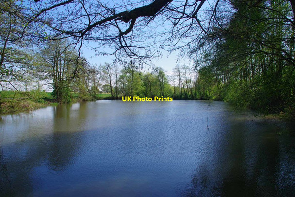 Photo 6"x4" Pond by Pods Wood Messing c2020