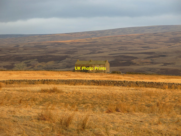 Photo 6"x4" Rough pastures above Quarry House Leadgate\/NY7043 c2020