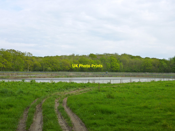 Photo 6"x4" Fish ponds Gunter's Bridge c2012