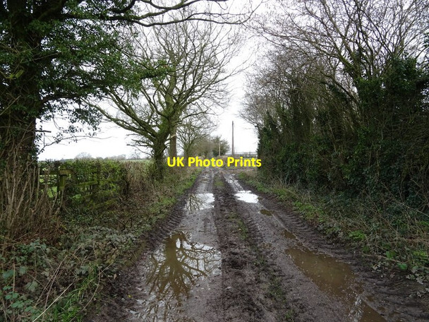 Photo 6"x4" Track (bridleway) towards Ladford Trading Park Broad Heath\/SJ8525 c2020