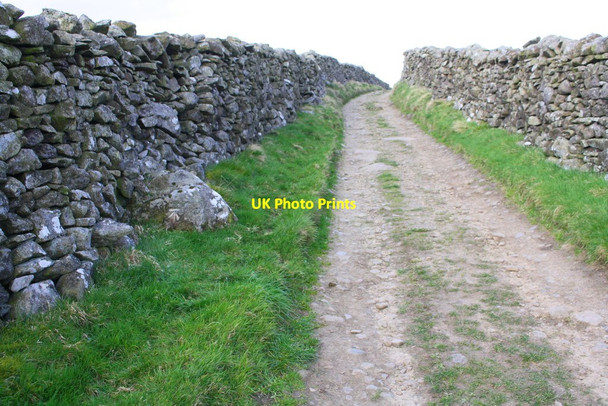 Photo 6"x4" Looking northwest along Lambert Lane (Pennine Bridleway) Settle c2019