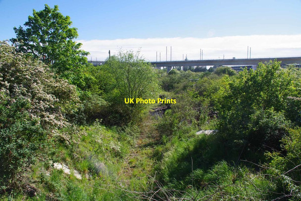 Photo 6"x4" Former Quarry Railway? West Thurrock c2020