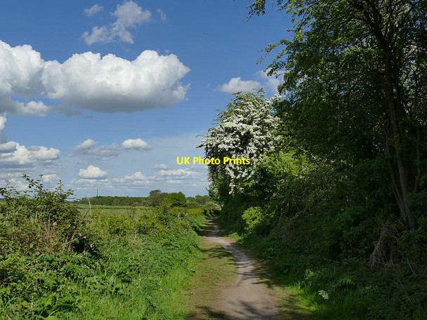 Photo 6"x4" Bridleway alongside Shippen Plantation Austhorpe c2020
