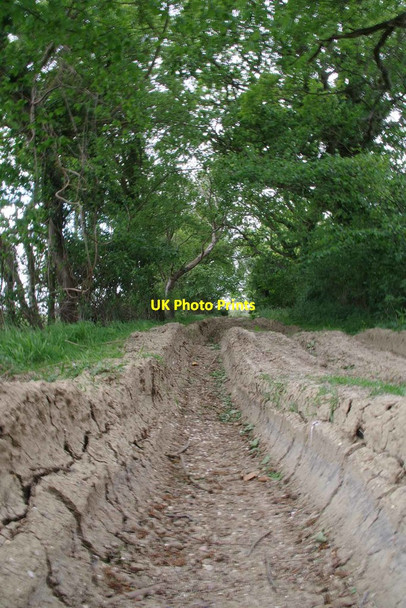 Photo 6"x4" Ruts in the Byway Little Laver c2020