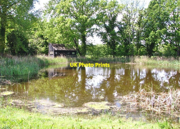 Photo 6"x4" Pond and hide on Ted Ellis's nature reserve Rockland St Mary c2020