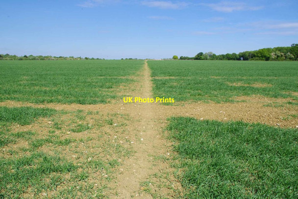 Photo 6"x4" Bridleway near Park Woods Little Laver c2020