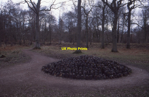 Photo 6"x4" Black Dome Worrall Hill c1995