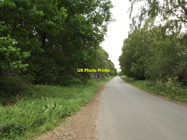 Photo 6"x4" Low Plantation, Cliffe Lane Harswell c2020