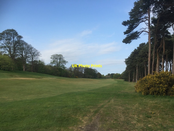 Photo 6"x4" Longniddry Golf Club Cockenzie and Port Seton c2020 P1