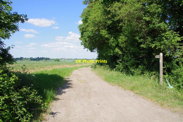 Photo 6"x4" Byway 219_56 Pepper's Green c2020