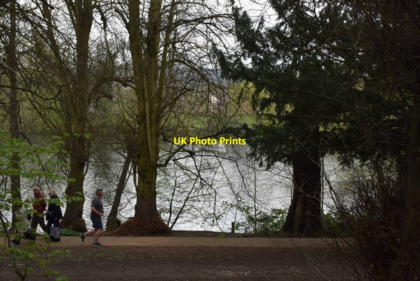 Photo 6"x4" Priory Pond Reigate c2019 P1