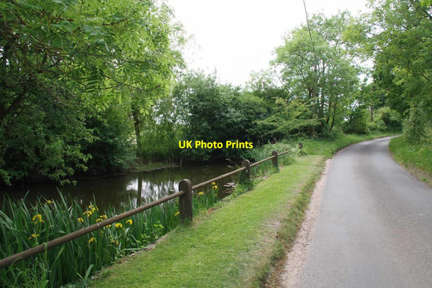 Photo 6"x4" Pond & Flag Iris by Anchor Lane Abbess End c2020