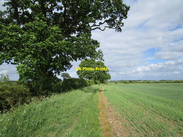Photo 6"x4" Restricted byway Bescaby c2020