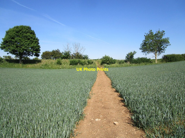 Photo 6"x4" Bridleway approaching King Street Aisby\/TF0138 c2020