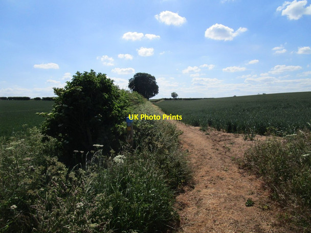 Photo 6"x4" Bridleway to nowhere Aisby\/TF0138 c2020