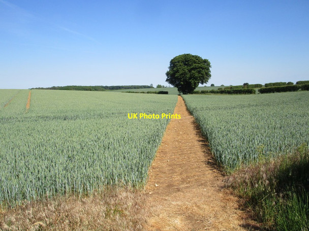 Photo 6"x4" Bridleway to King Street Aisby\/TF0138 c2020