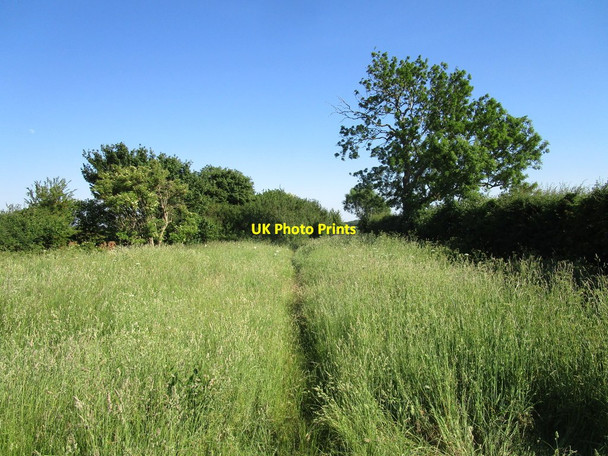 Photo 6"x4" Restricted byway to Haceby Haceby c2020