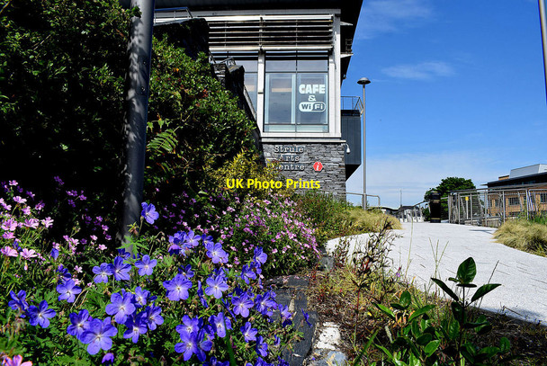 Photo 6"x4" Flowers, Strule Arts Centre, Omagh Omagh c2020
