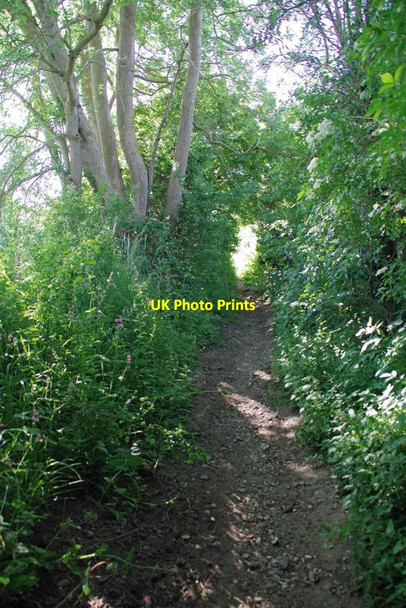Photo 6"x4" Bridleway to Little Oakley Little Oakley\/TM2229 c2020