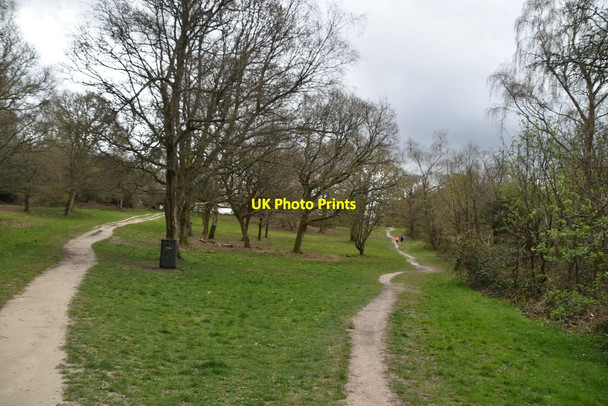 Photo 6"x4" The Old Racecourse, Tunbridge Wells Common Royal Tunbridge Wells c2020