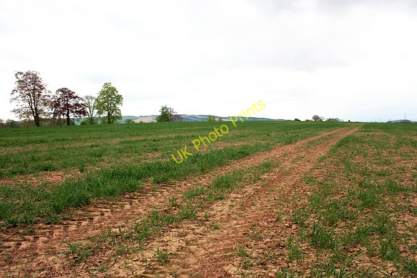 Photo 6"x4" Roman Fort (site of) near Canon Frome Coourt Canon Frome c2009