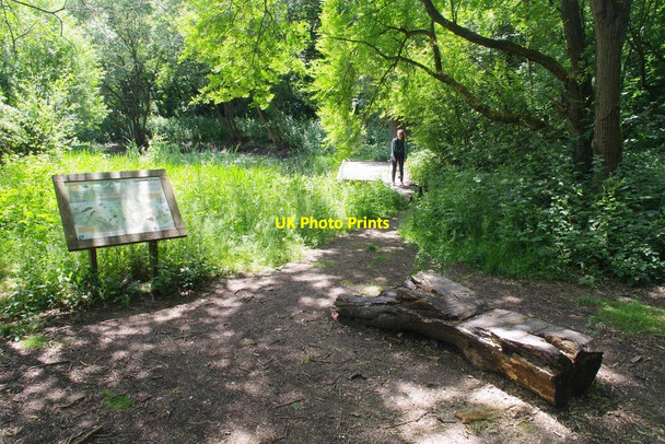 Photo 6"x4" The Damsel Fly Pond Romford\/TQ5289 c2020