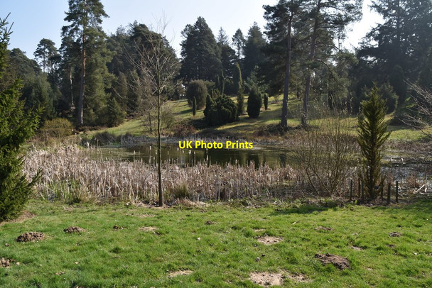 Photo 6"x4" Pond, Bedgebury Pinetum Bedgebury Cross c2019